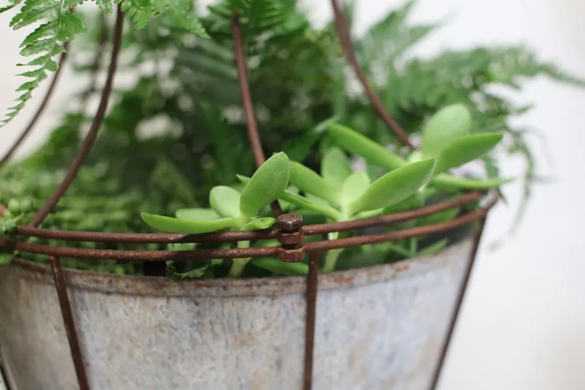 Hanging Planters|Garden Planters^Nkuku Abari Caged Hanging Planter