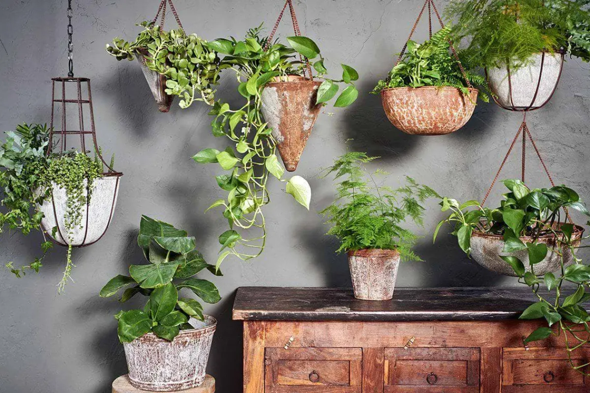 Hanging Planters|Garden Planters^Nkuku Abari Round Hanging Planter