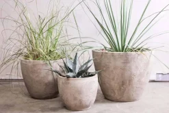 Garden Planters|Garden Décor^Nkuku Affiti Clay Planter - Large