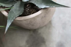 Garden Planters|Garden Décor^Nkuku Affiti Clay Planter - Large