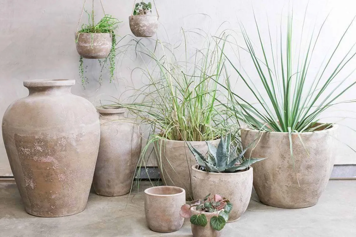Garden Planters|Garden Décor^Nkuku Affiti Clay Tapered Pot - Small