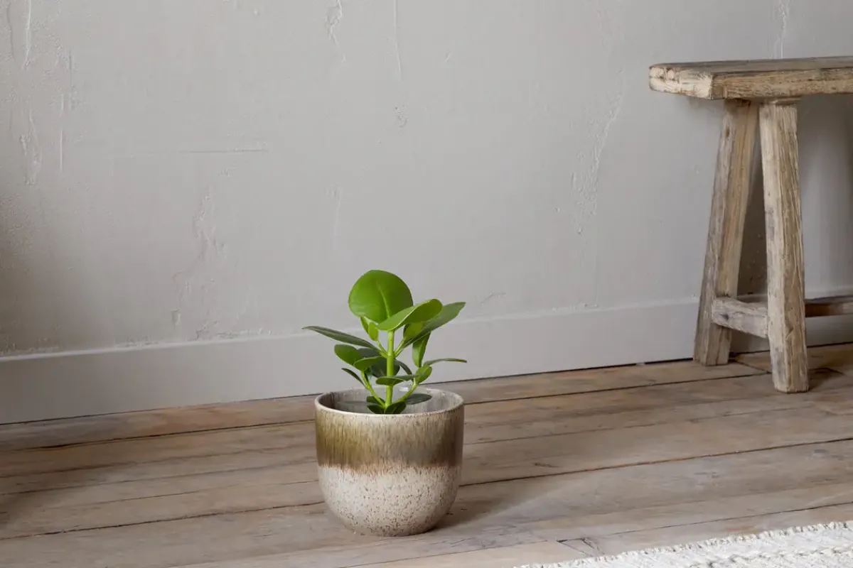 Indoor Planters^Nkuku Almeida Reactive Glaze Plant Pot - Olive & Natural