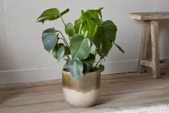 Indoor Planters^Nkuku Almeida Reactive Glaze Plant Pot - Olive & Natural