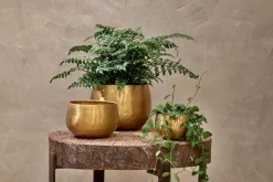 Indoor Planters^Nkuku Atsu Brass Planter