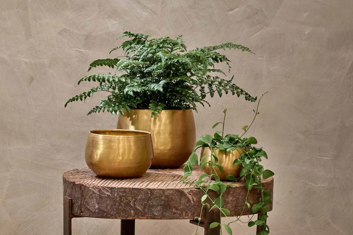 Indoor Planters^Nkuku Atsu Brass Planter