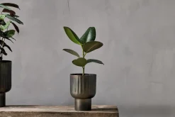Decorative Home Accessories|Indoor Planters^Nkuku Dasalla Planter - Aged Brass
