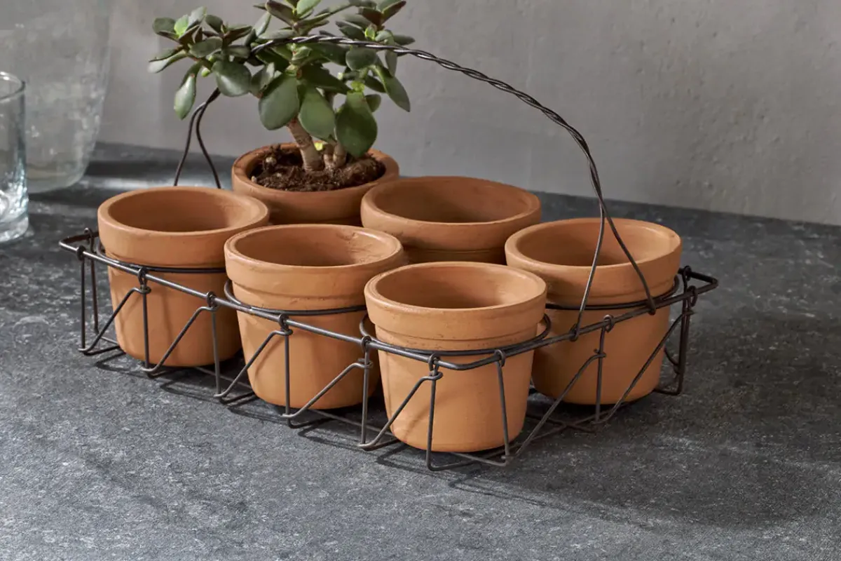 Garden Planters|Indoor Planters^Nkuku Dilipa Terracotta Multi Planter - Terracotta