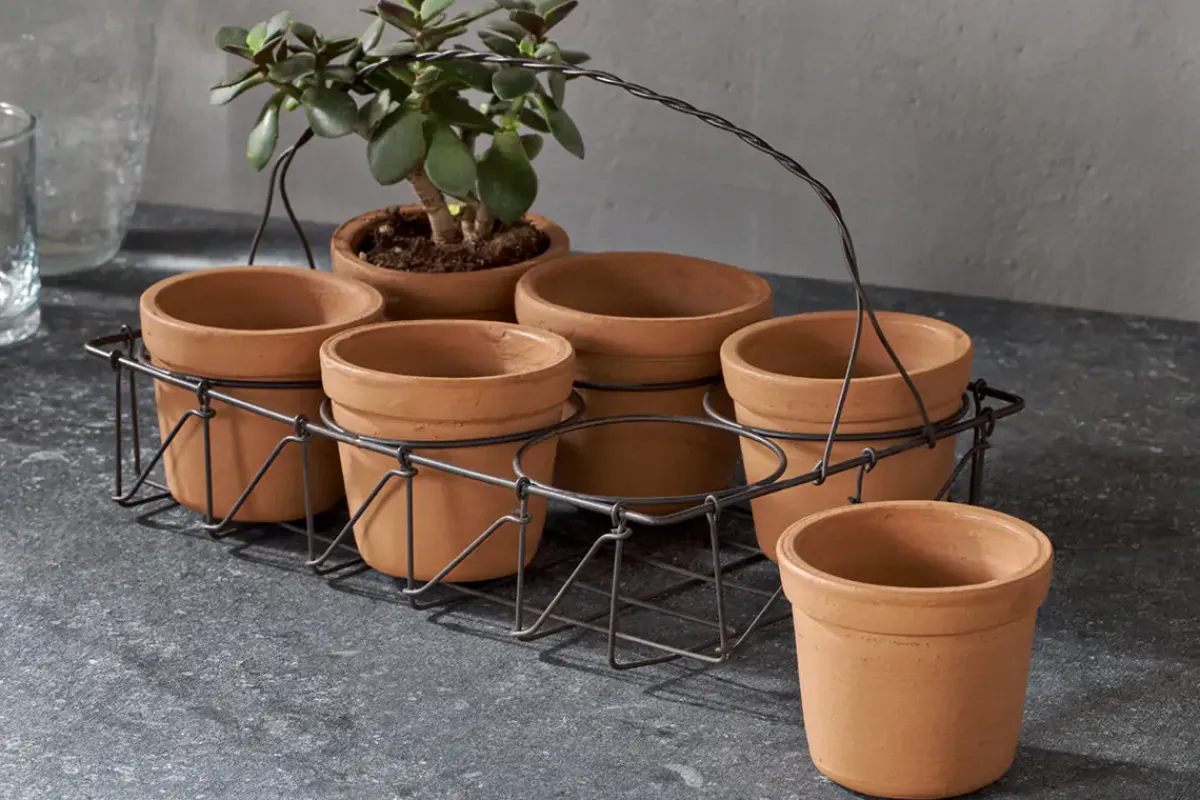 Garden Planters|Indoor Planters^Nkuku Dilipa Terracotta Multi Planter - Terracotta