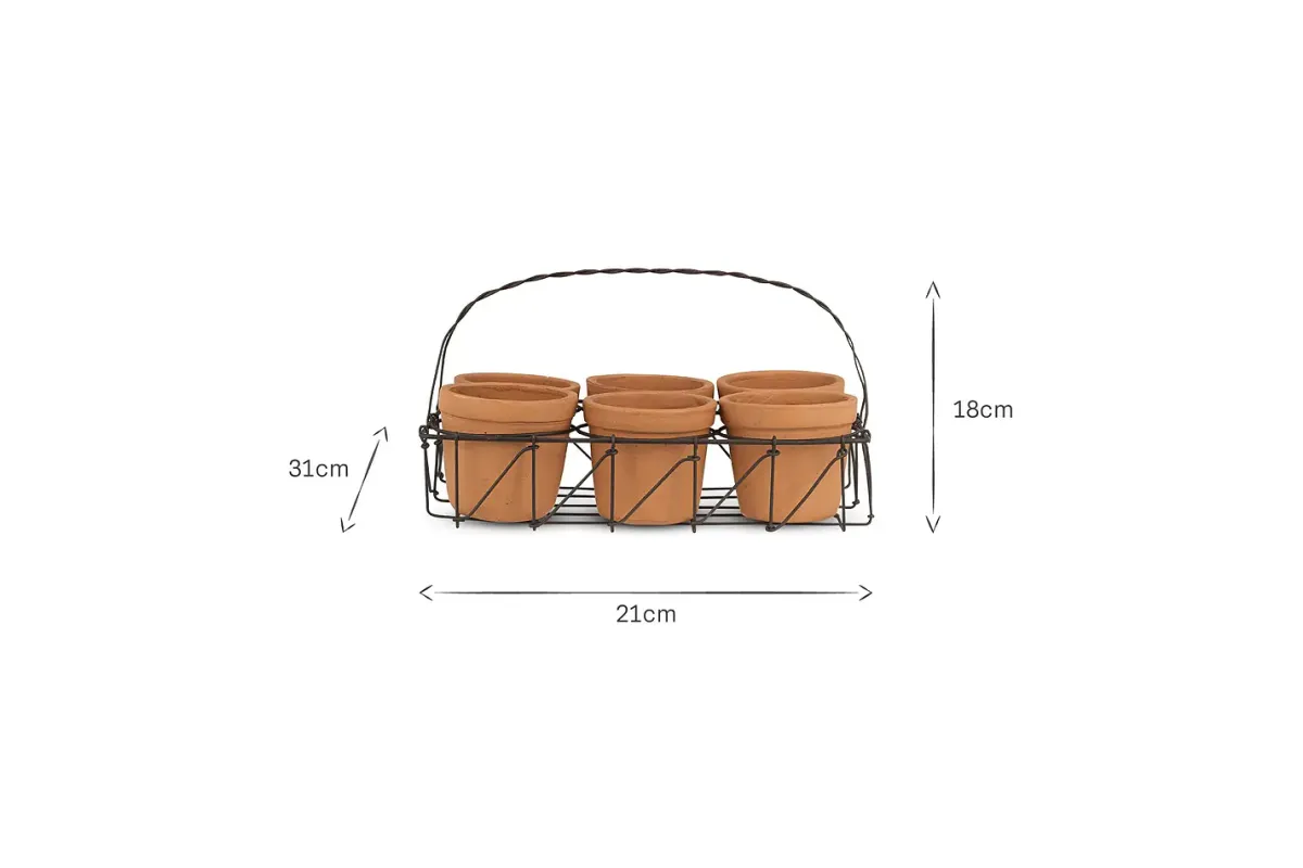 Garden Planters|Indoor Planters^Nkuku Dilipa Terracotta Multi Planter - Terracotta