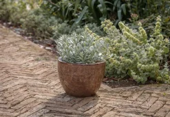 Garden Planters|Garden Décor^Nkuku Dunai Terracotta Planter - Brown
