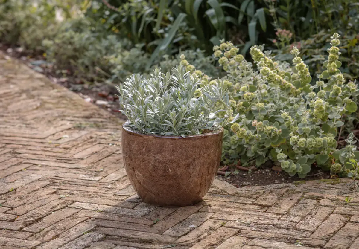Garden Planters|Garden Décor^Nkuku Dunai Terracotta Planter - Brown