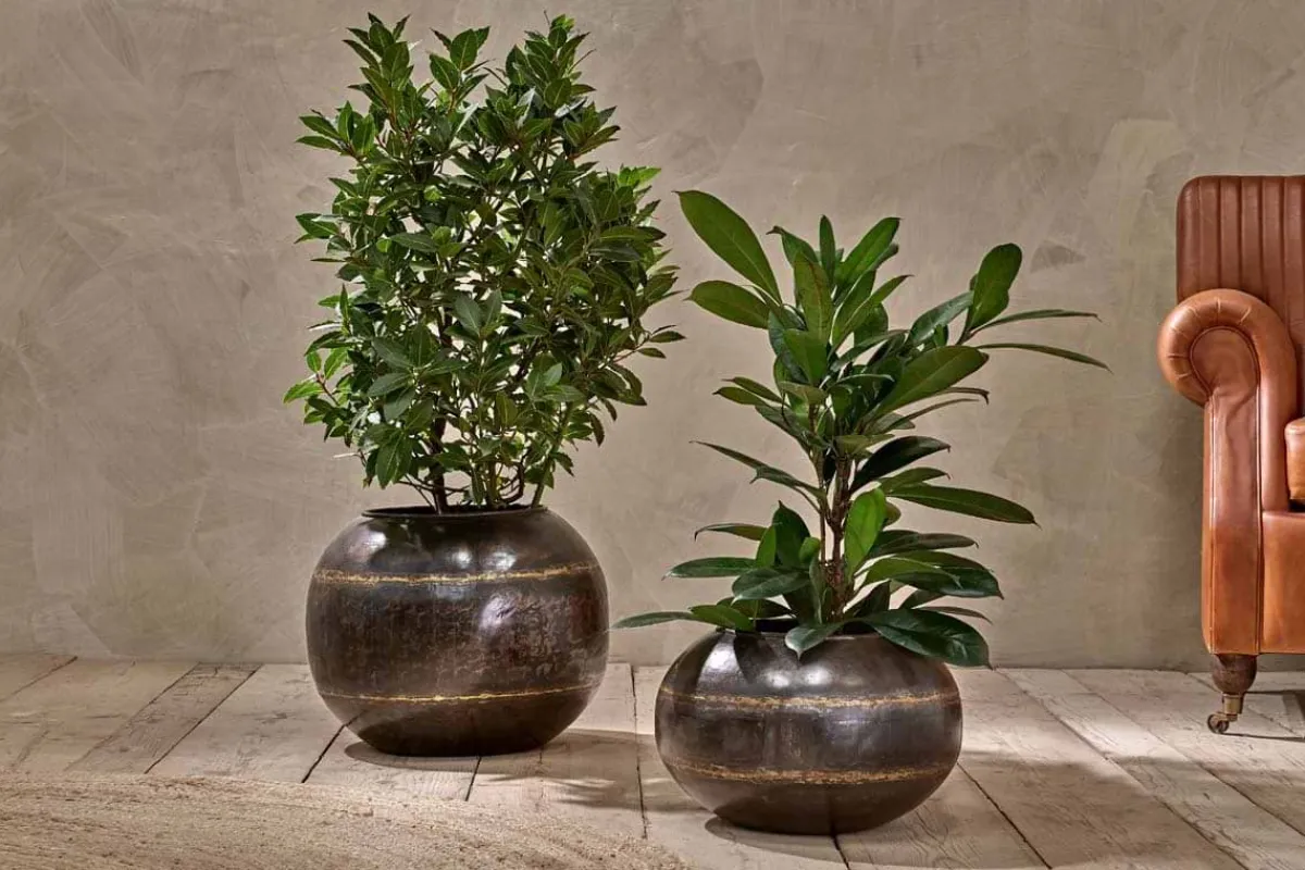 Decorative Home Accessories|Indoor Planters^Nkuku Endo Reclaimed Iron Globe Planter