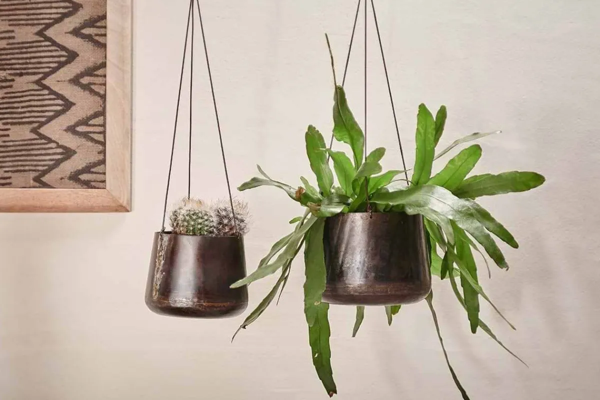 Decorative Home Accessories|Hanging Planters^Nkuku Endo Reclaimed Iron Hanging Planter