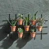 Hanging Planters|Garden Planters^Nkuku Jara Terracotta Wall Hung Planter