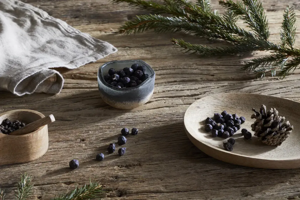 Home Fragrance|Candles^Nkuku Juniper & Fir 1 Wick Scented Candle
