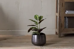 Indoor Planters^Nkuku Maliki Plant Pot - Aged Bronze