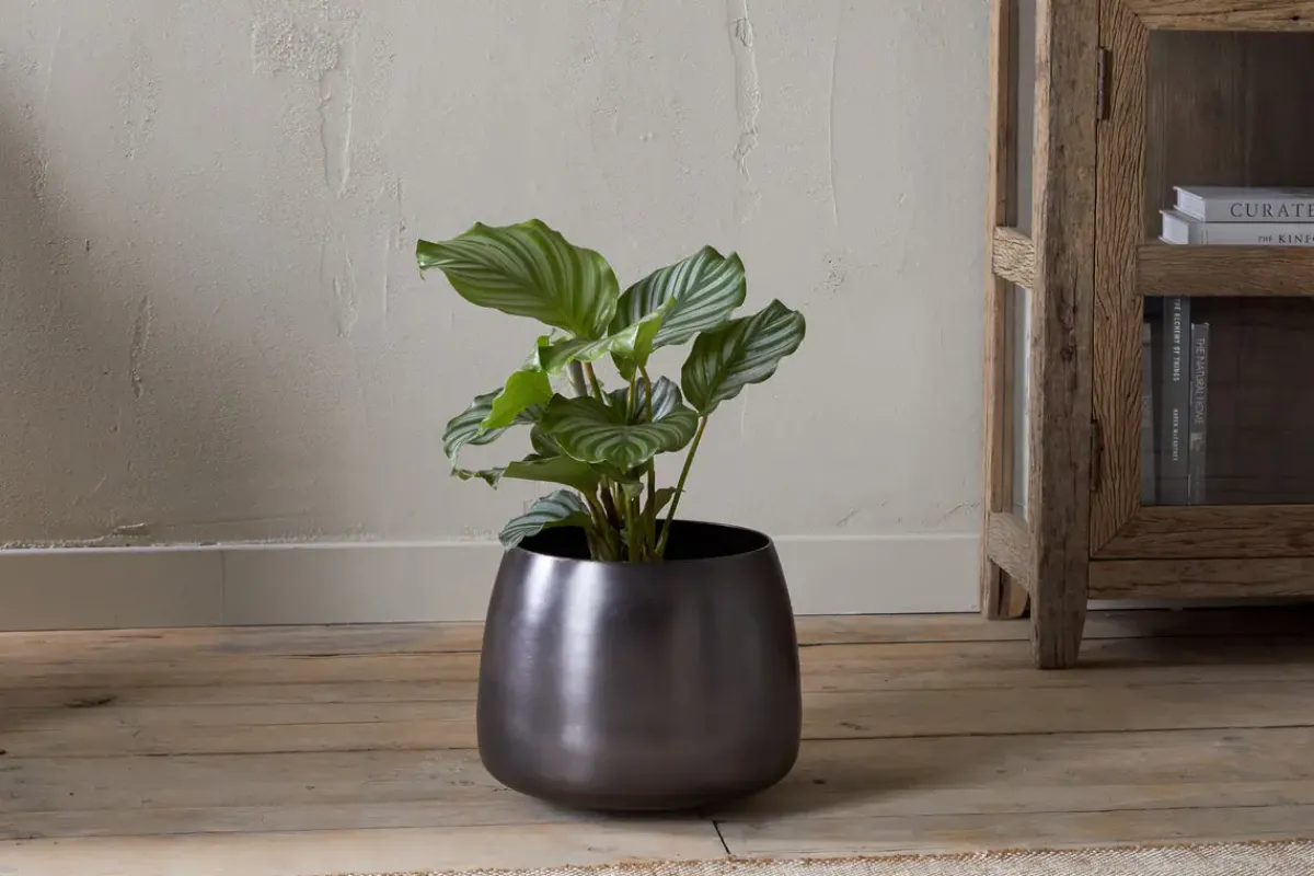 Indoor Planters^Nkuku Maliki Plant Pot - Aged Bronze
