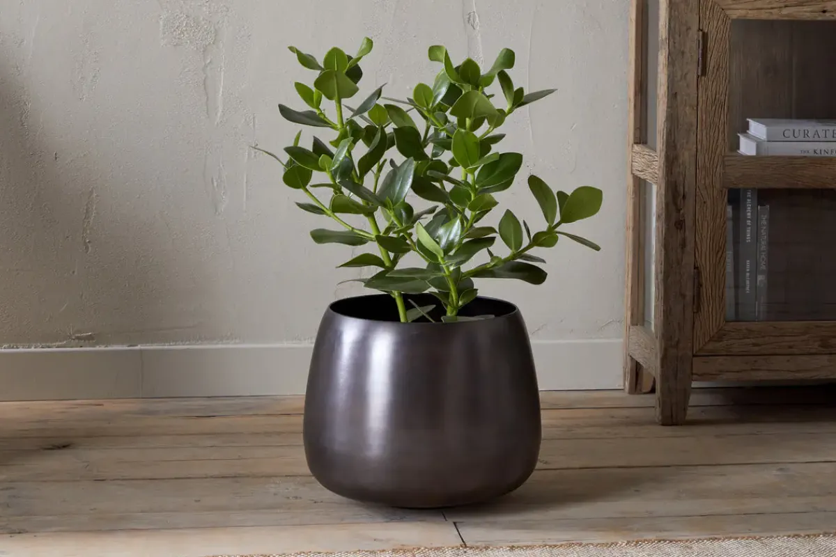 Indoor Planters^Nkuku Maliki Plant Pot - Aged Bronze