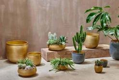 Decorative Home Accessories|Garden Planters^Nkuku Tembesi Etched Planter - Antique Black & Brass