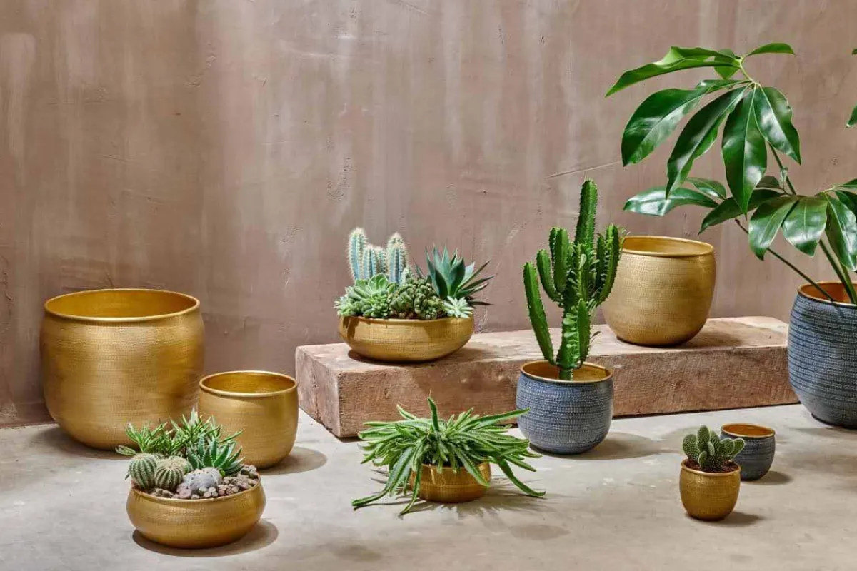 Decorative Home Accessories|Garden Planters^Nkuku Tembesi Etched Planter - Antique Black & Brass