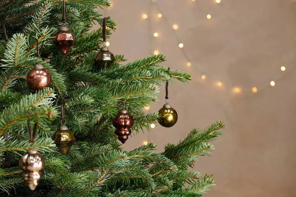 Baubles & Tree Decorations^Nkuku Ura Baubles - Antique Green (Set of 3)